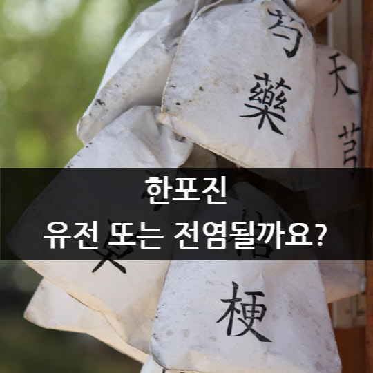 ÇÑÆ÷Áø, À¯Àü ¶Ç´Â Àü¿°µÉ±î¿ä? ÇÑÆ÷Áø, À¯Àü ¶Ç´Â Àü¿°µÉ±î¿ä?